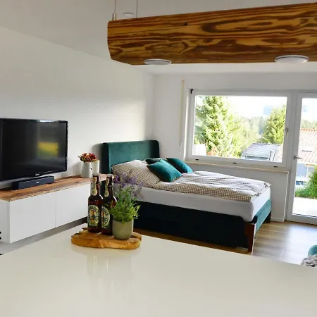 Konz Ferienwohnung Inkl Sauna Apartment Oberreute